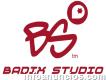 Badix Studio - Creación de sitios web. Diseño de sitios web. Páginas web