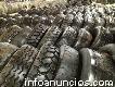 Used Truck Tires For Export By Containers