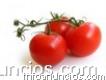 150 hta s/casa zona ideal Alfalfa o Tomates e intermediario.