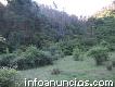 Se vende Predio Forestal Hualqui, Quilacoya