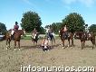Pensionado equino, clases de equitación, salto, adiestramiento y paseo