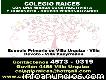 Escuelas Primarias Villa Urquiza - Colegio Raíces 4573-0319