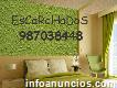 Buenos Escarchados techos y paredes 987038448