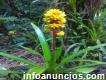 Vendo 15 hectarias en Oriente Ecuador