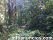 Terreno 5 hectáreas en Oriente Ecuador