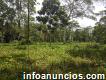 Se vende terreno en el cantón Palora – Provincia de Morona Santiago – Ecuador.