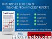 Credit Correction Services, Llc (restauraciotos) N De Credi