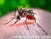 Dengue, Zika, Chikungunya, producto asombroso para cortar la enfermedad