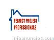 Perfect Project Profesional