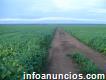 Fazenda Soja/milho 6.285 Hec 4.000 De Soja Campo Novo Dos Parecis/mt
