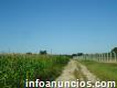 Fazenda 1.150 ha Soja/milho Canarana Mt