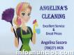 Angelina cleaning