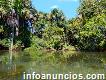 Land For Sale Fundó Marita In Madre de Dios Natural Perú live in elm heart of the jungle peruanan peses fauna afforestation a paradise Offers phone numbers 51 938714970 whatsapp 931331623