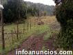 Urgent Sale Beautiful Land Of 5 Hectares / (ancud - Isla De Chiloé / Chile)