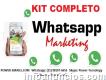 Kit Completo Whatsapp Envios Automatizado Sem Chips 2018