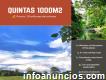 Oferta de Quintas de 1000 metros en Horquetas