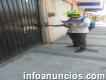 Volanteo, reparto de volantes en Iguala Guerrero