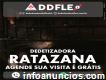 Dedetizadora de Ratos Ddflex - Pampulha/bh