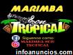 Marimba servicio a Tlalnepantla 55-2969-3083