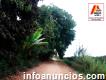 Terreno Rural en Chincha en Venta, Hoja Redonda - Chincha, 4. 124 has