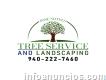 José Sotelo Landscaping and Tree service
