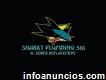 Sharky Plumbing 510 & Sewer Replacement