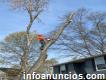 Landscaping and tree service