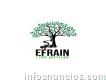 Efraín Tree Services