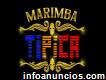 Marimba Típica De Toluca