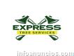 Express tree service Llc