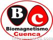 Biomagnetismo Cuenca